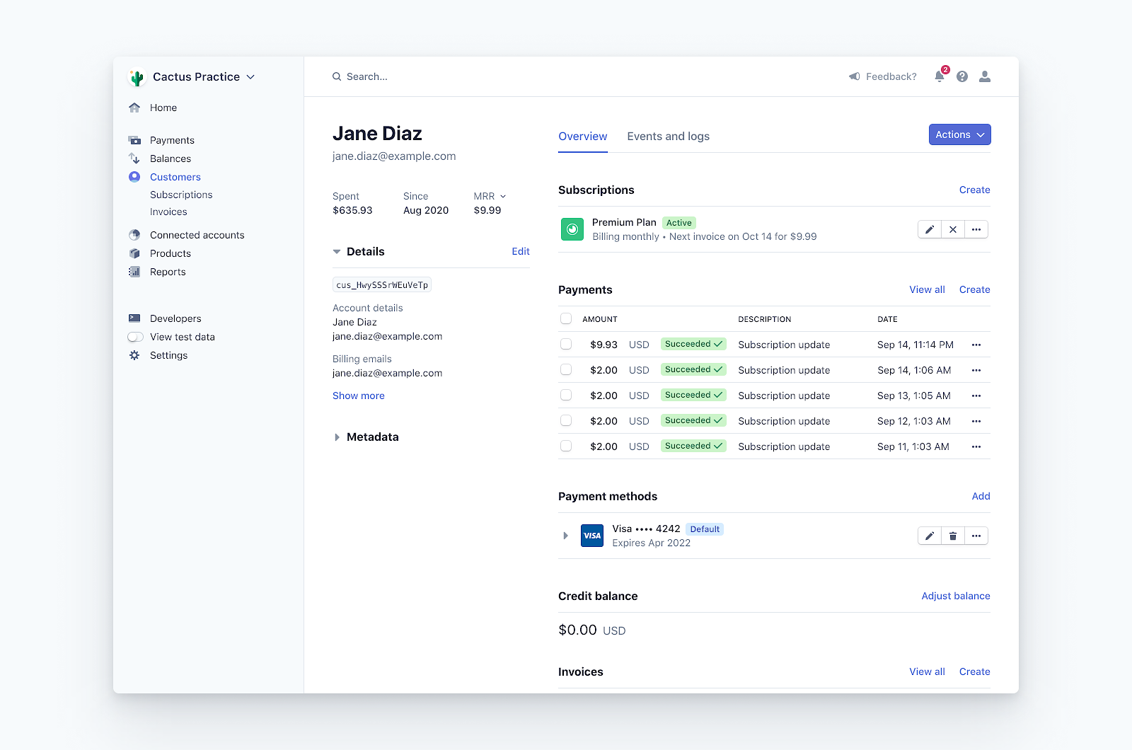 Manage Stripe Customer ViewPayments