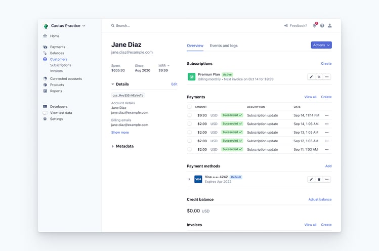 Manage Stripe Customer ViewPayments