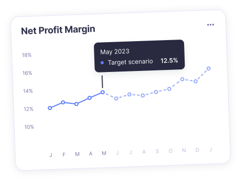 NetProfitMargin Graph